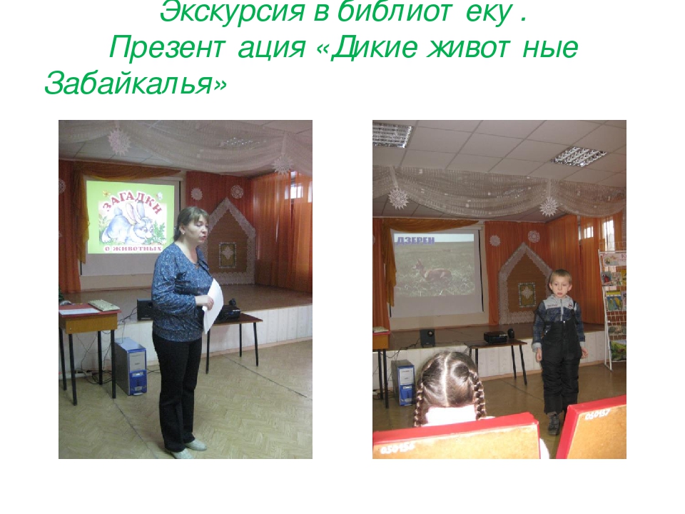 Презентация проекта "Дикие животные Забайкальского края"