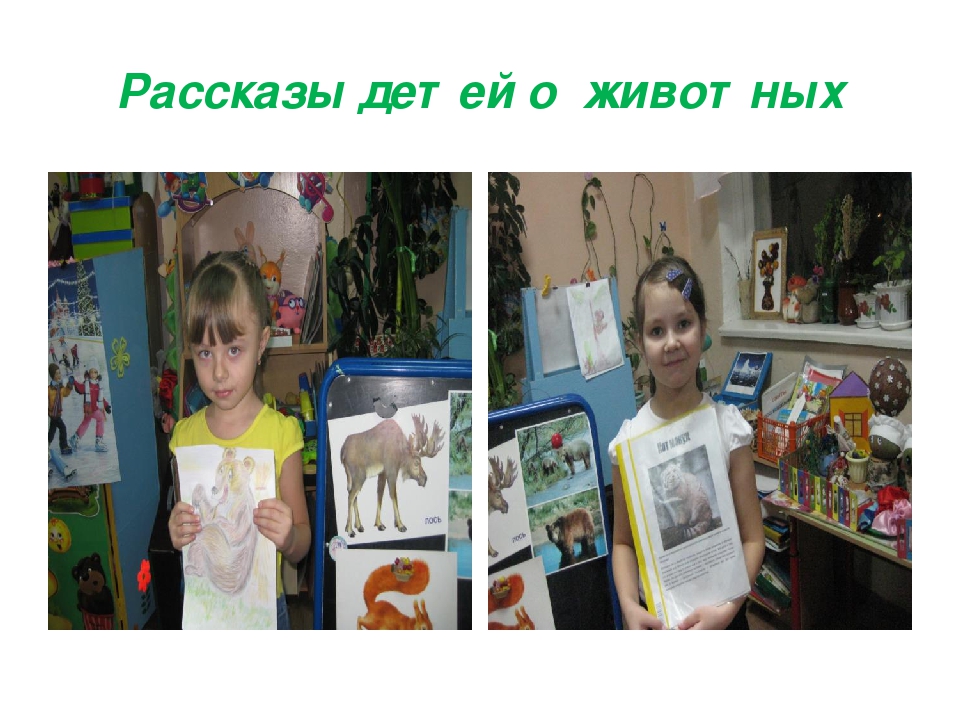 Презентация проекта "Дикие животные Забайкальского края"