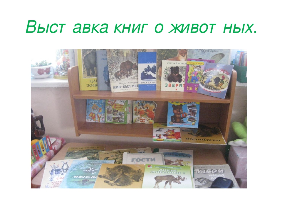 Презентация проекта "Дикие животные Забайкальского края"