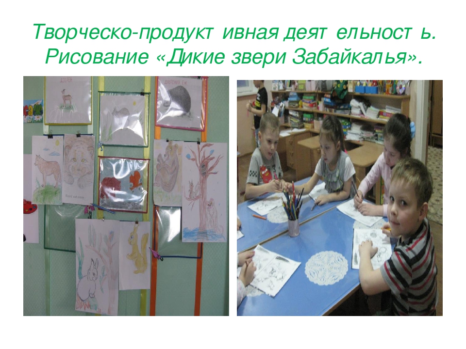 Презентация проекта "Дикие животные Забайкальского края"