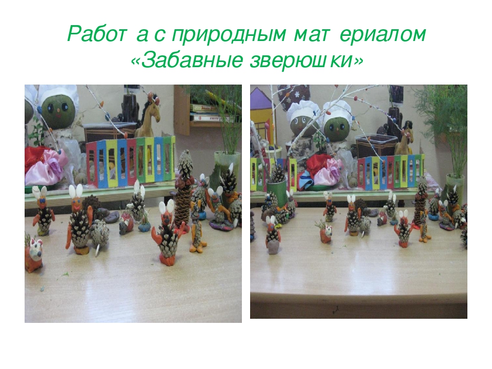 Презентация проекта "Дикие животные Забайкальского края"