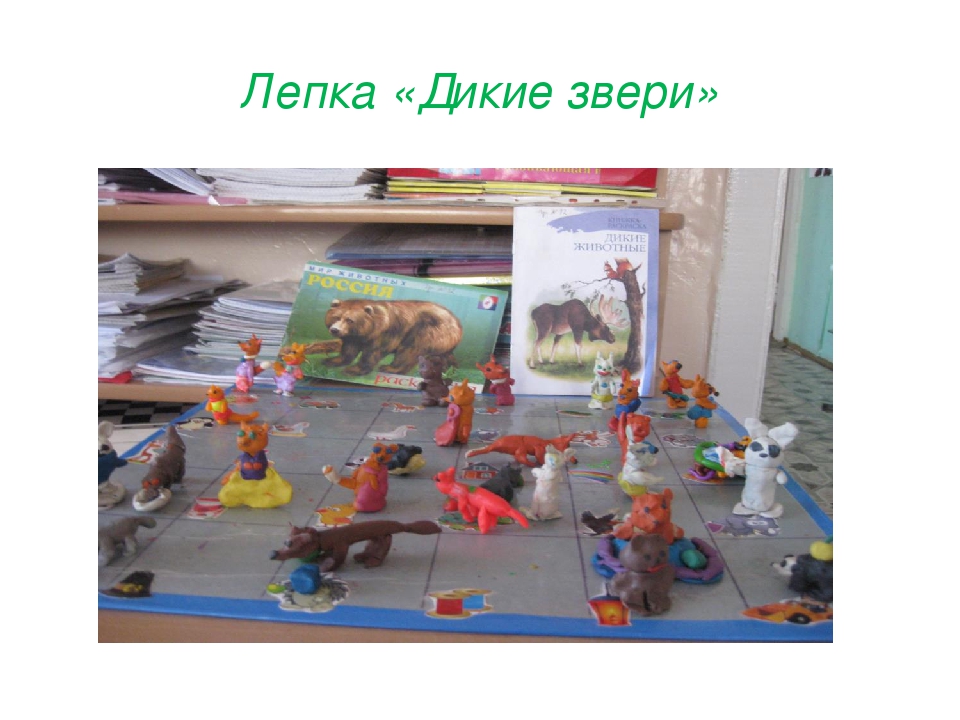 Презентация проекта "Дикие животные Забайкальского края"