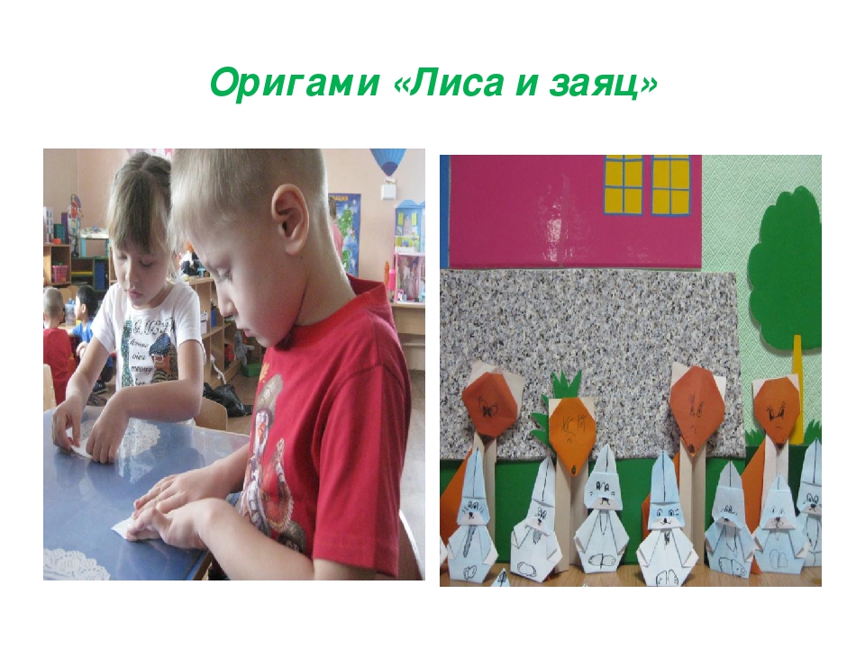 Презентация проекта "Дикие животные Забайкальского края"