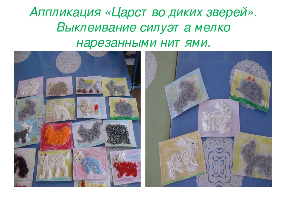 Презентация проекта "Дикие животные Забайкальского края"