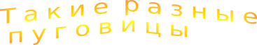 Shape1