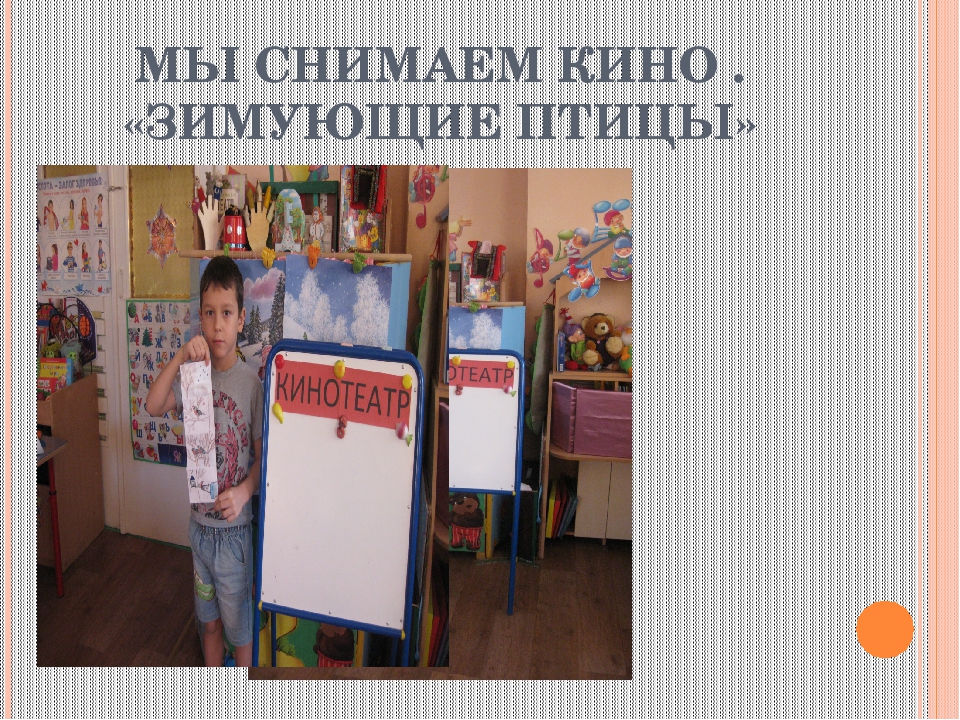 Презентация "Мы снимаем кино о зимующих птицах"