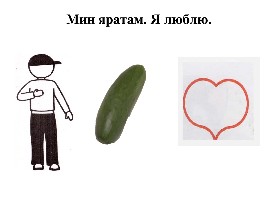 Дидактическая игра "Я люблю"