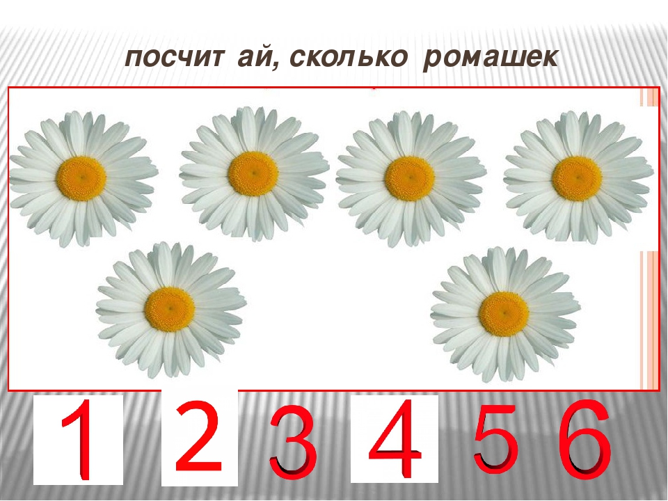 Мультимедийная презентация "Подумай и отгадай"