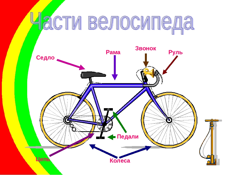 Презентация "Мой двухколесный друг"