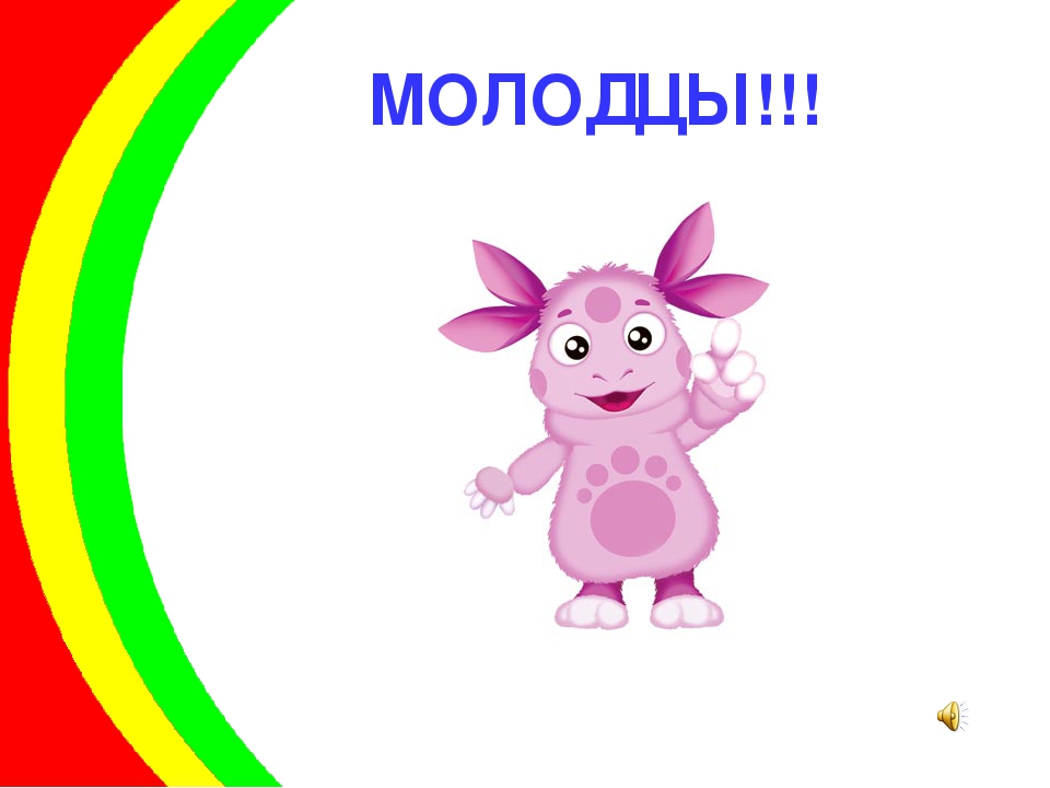 Презентация "Мой двухколесный друг"