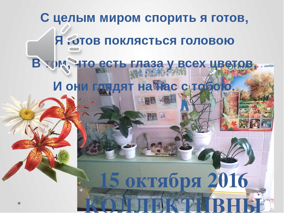 Презентация по экологическому воспитанию на тему "Коллективный труд в уголке природы"