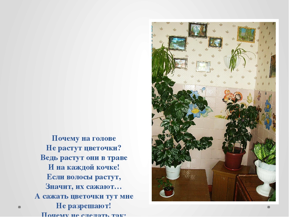 Презентация по экологическому воспитанию на тему "Коллективный труд в уголке природы"