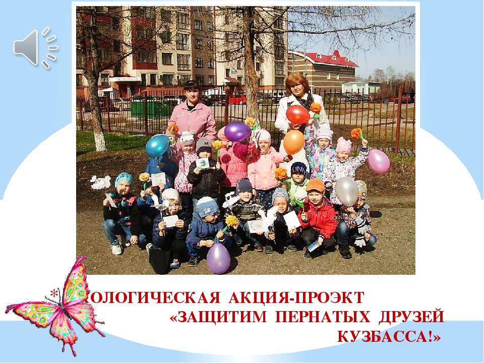 Презентация экологической акции-проекта "Защитим пернатых друзей Кузбасса"