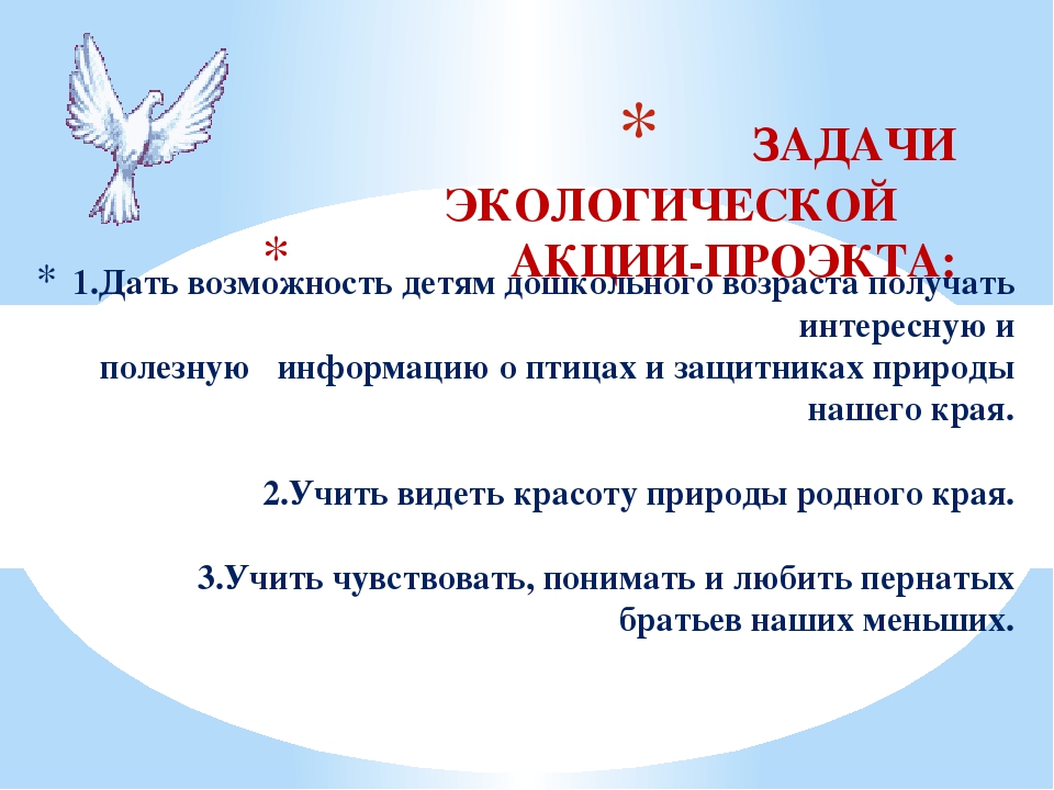 Презентация экологической акции-проекта "Защитим пернатых друзей Кузбасса"