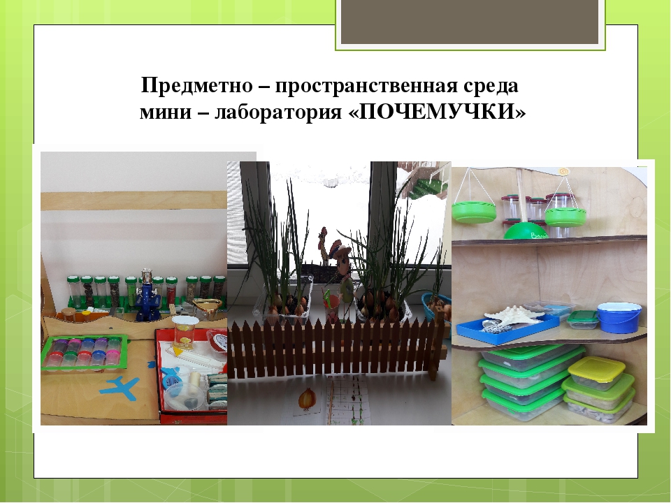 Презентация по познавательной деятельности на тему "Познавательно-исследовательская деятельность детей дошкольного возраста с ОВЗ в рамках реализации программы дошкольного образования"