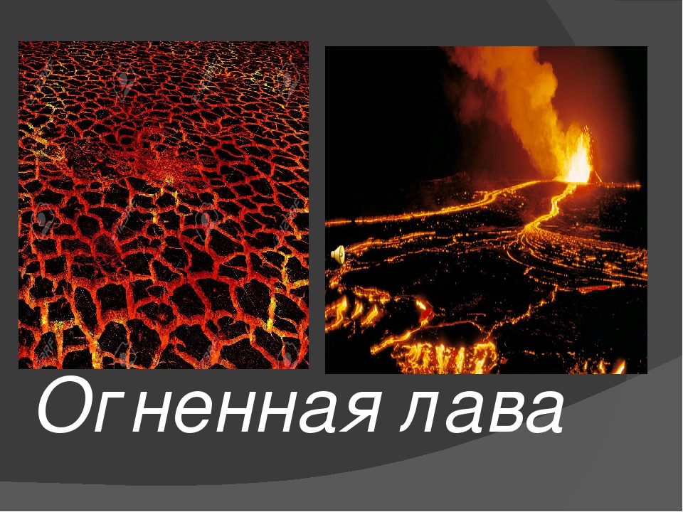 Презентация открытого урока "В мире динозавров"