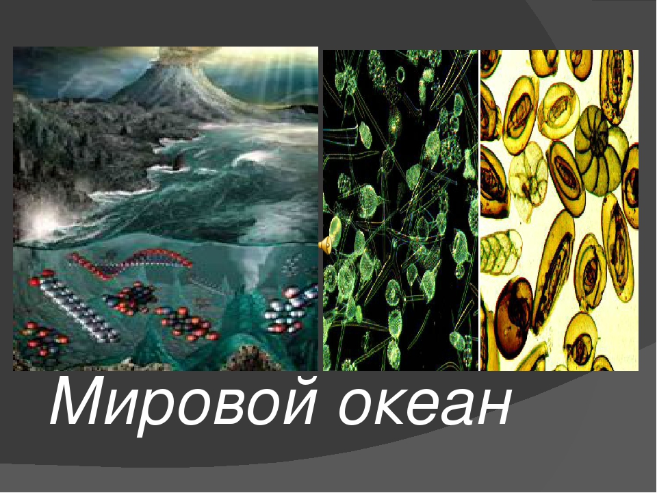 Презентация открытого урока "В мире динозавров"