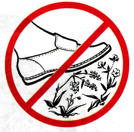 17 апреля что можно что нельзя. Экологические знаки. Знаки защиты природы. Берегите растения знаки. Знак не топтайте растения.