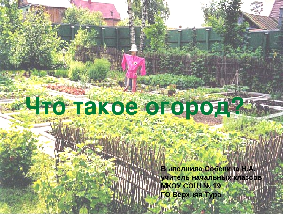 Презинтация "Что такое огород"