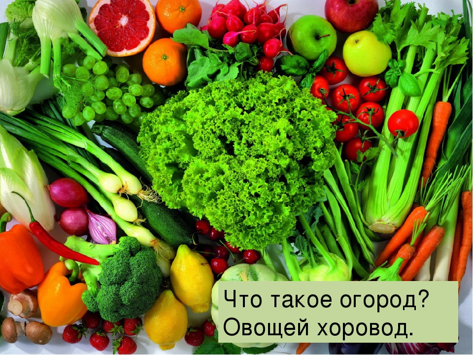 Презинтация "Что такое огород"