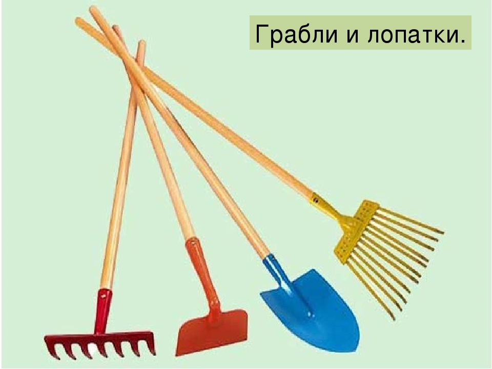 Презинтация "Что такое огород"
