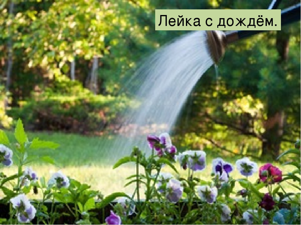 Презинтация "Что такое огород"
