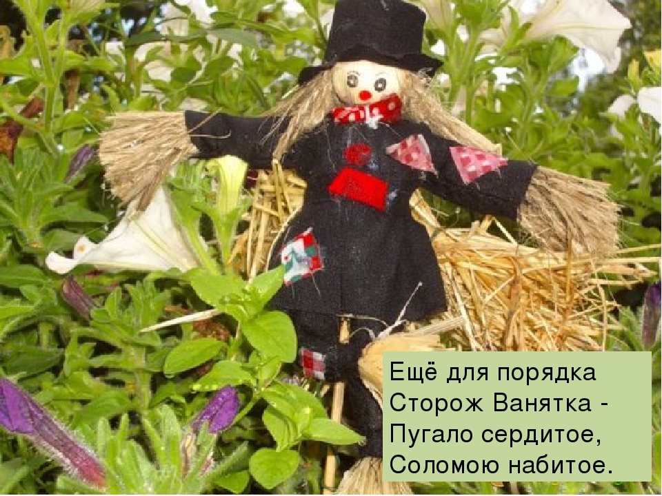 Презинтация "Что такое огород"
