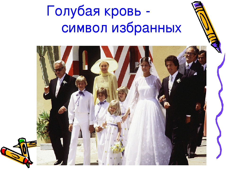 Презентация проекта "Цветная кровь"