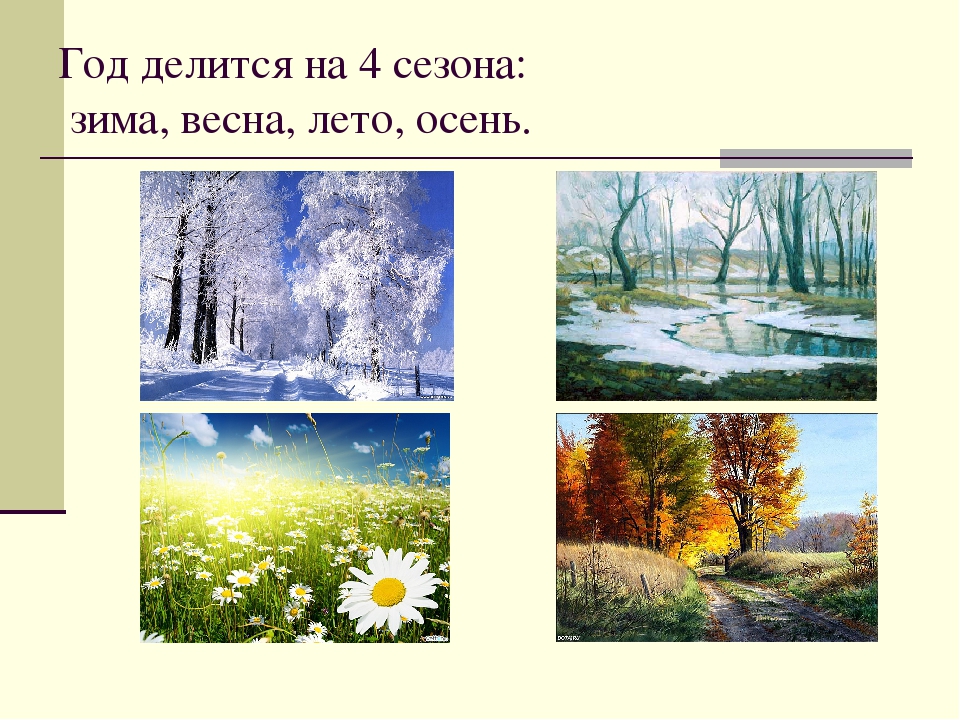 Презентация на тему "Круглый год"