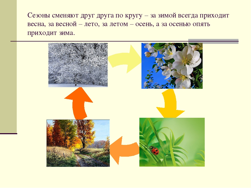Презентация на тему "Круглый год"