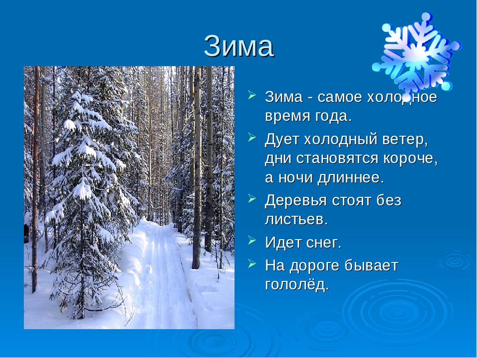 Презентация на тему "Круглый год"