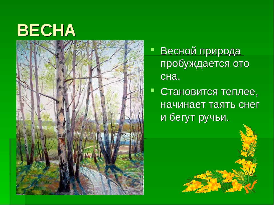 Пробудившись ото сна кистью мягкою весна на ветвях рисует почки на полях грачей цепочки