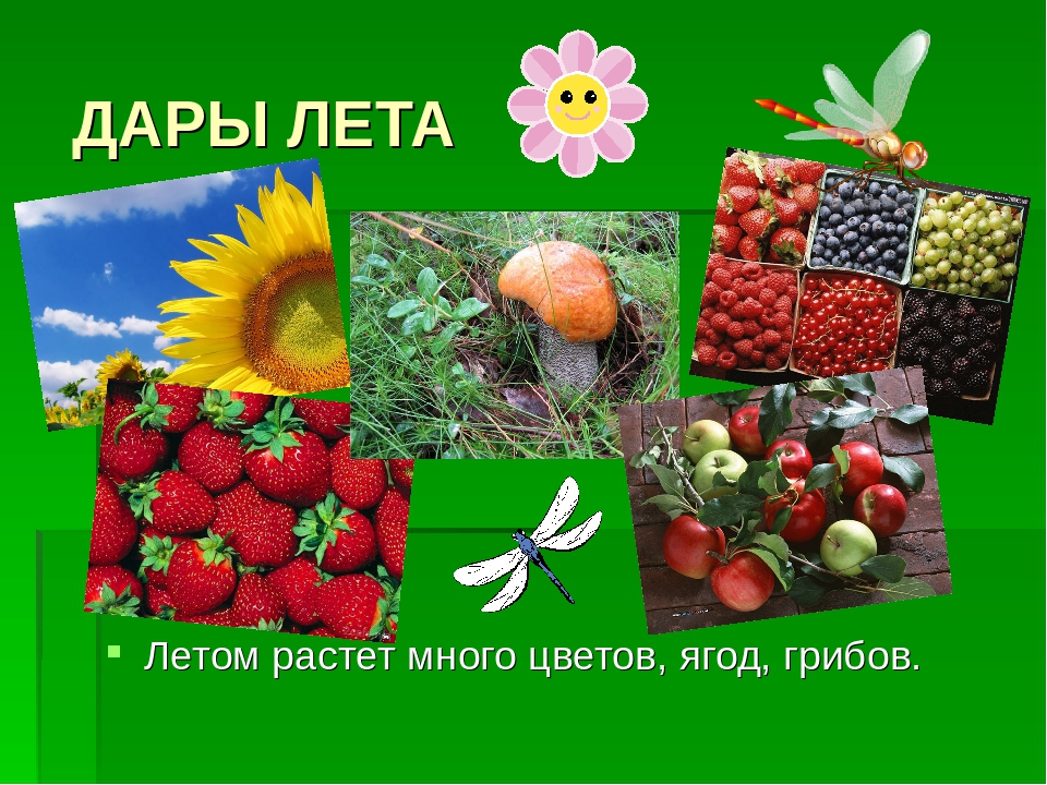 Презентация на тему "Круглый год"