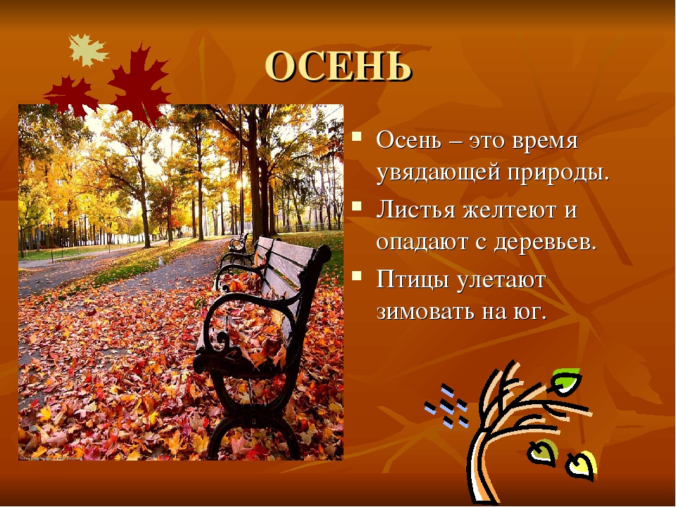 Презентация на тему "Круглый год"