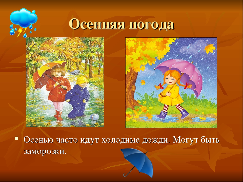 Презентация на тему "Круглый год"
