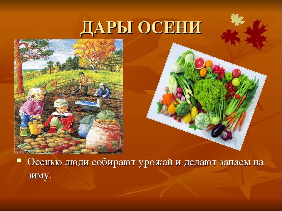 Презентация на тему "Круглый год"