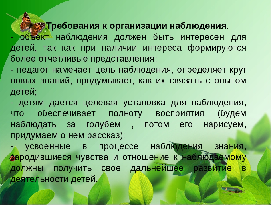 "Развитие ребенка во взаимодействии с окружающим миром"