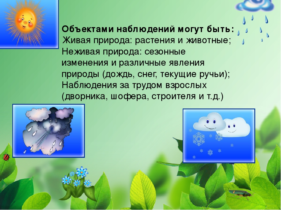 Наблюдать живой. Наблюдение за объектами живой природы. Наблюдение за живой и неживой природой. Наблюдение за объектами неживой природы. Наблюдения за объекты наблюдений живой природы.