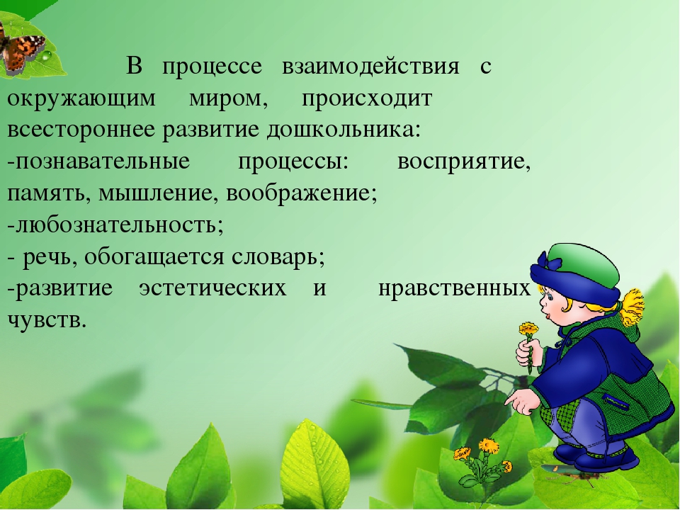 "Развитие ребенка во взаимодействии с окружающим миром"
