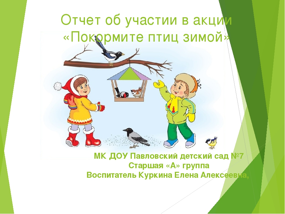 Презентация отчет о проделанной работе 2 младшая группа