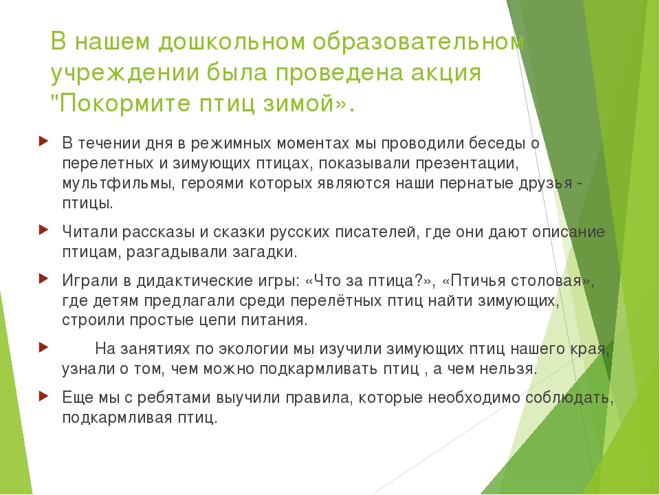 Презентация отчета об участии в акции «Покормите птиц зимой»