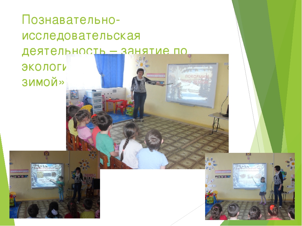 Презентация отчета об участии в акции «Покормите птиц зимой»