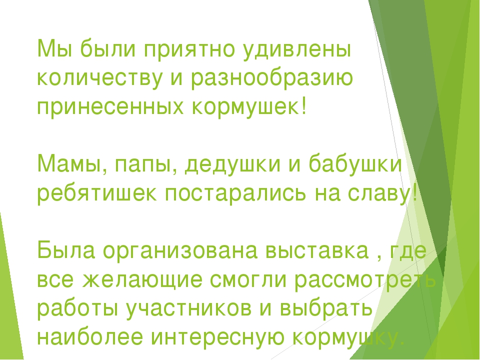 Презентация отчета об участии в акции «Покормите птиц зимой»