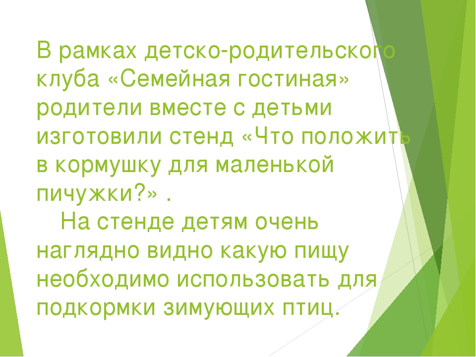 Презентация отчета об участии в акции «Покормите птиц зимой»
