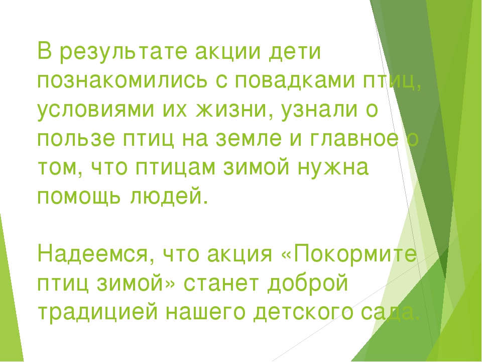 Презентация отчета об участии в акции «Покормите птиц зимой»