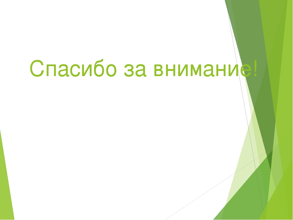 Презентация отчета об участии в акции «Покормите птиц зимой»
