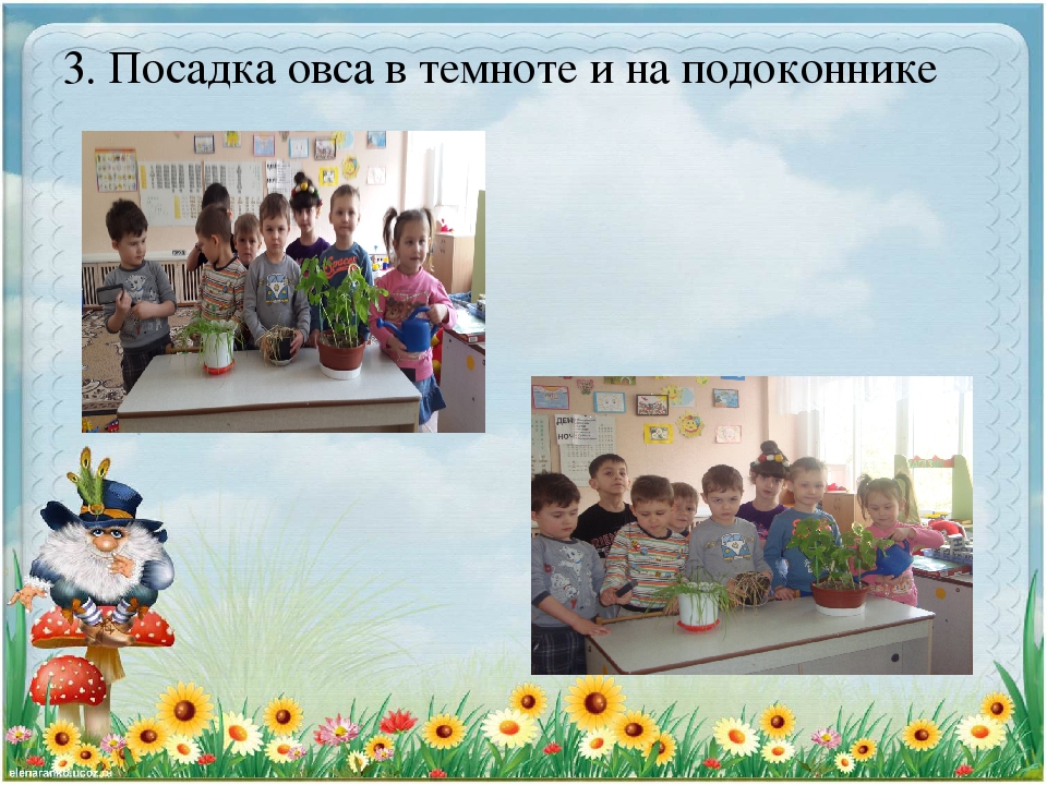 Презентация проекта "У солнышка в гостях"