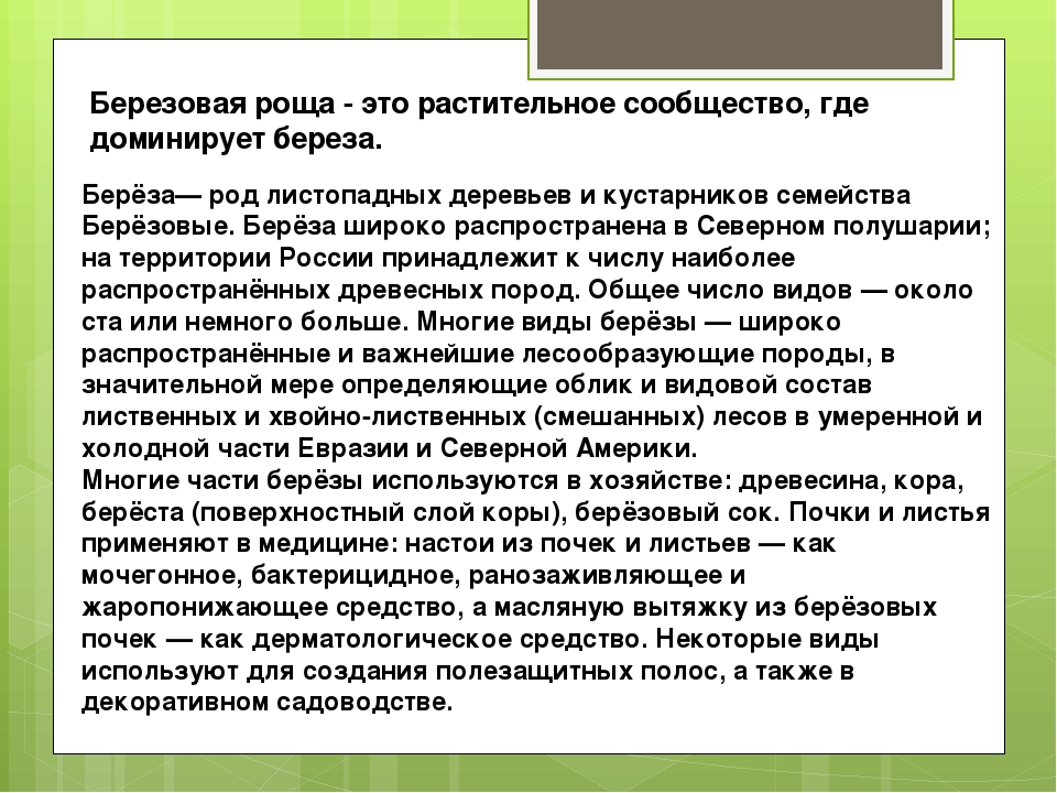 Презентация к ООД "В березовой роще"