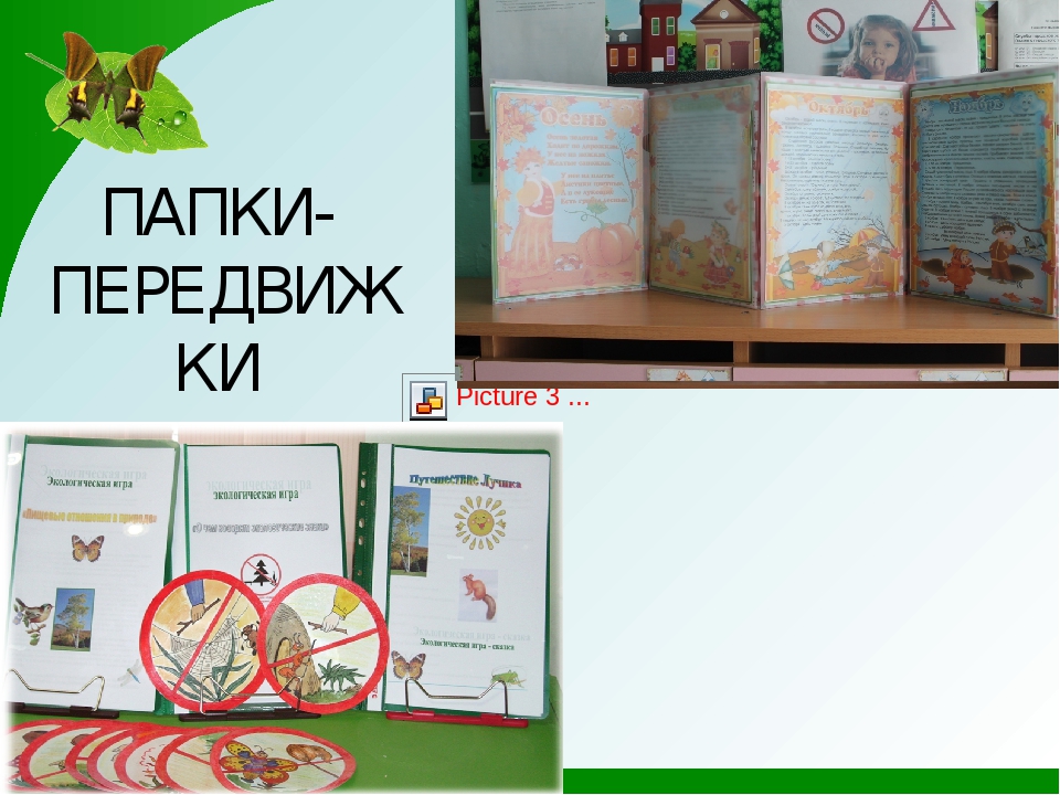 Взаимодействие с родителями по экологическому воспитанию дошкольников