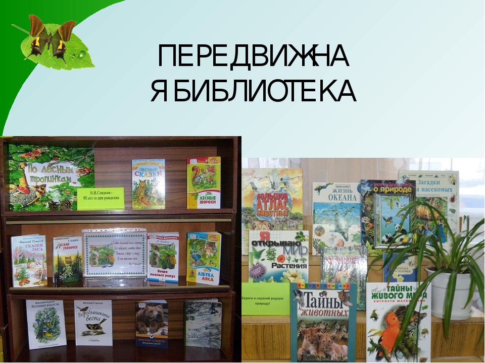 Взаимодействие с родителями по экологическому воспитанию дошкольников